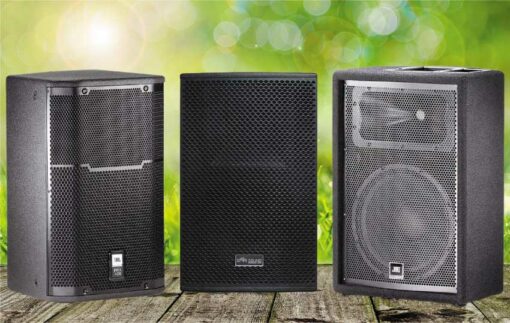 Loa bass 30 là gì Nên mua loa bass 30 ở đâu chất lượng nhất