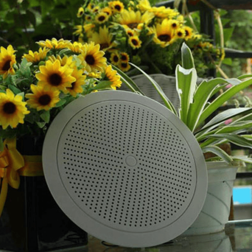 Loa âm trần DB TS-301
