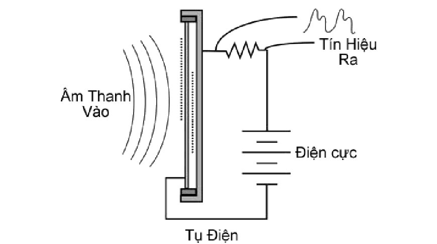 Cấu tạo và nguyên lý hoạt động của Micro condenser