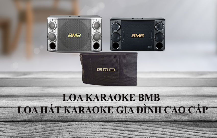 Loa-karaoke-nao-hay-3