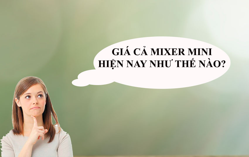 gia-ca-mixer-mini-hien-nay-dd