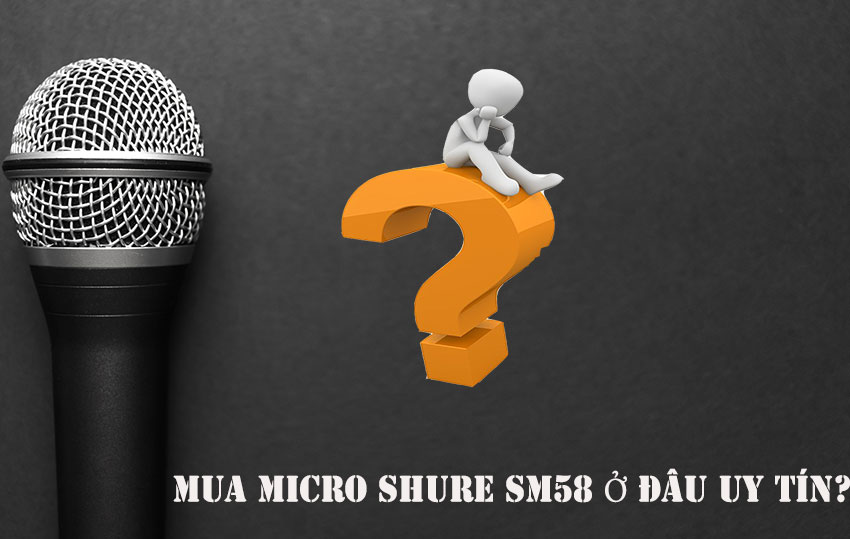 micro-shure-sm58-dd