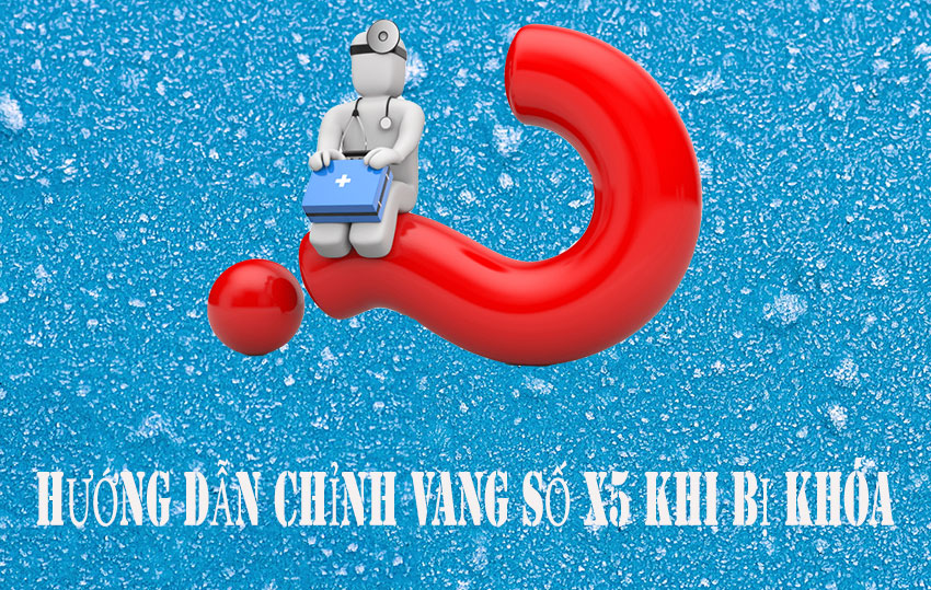 huong-dan-chinh-vang-so-x5-dd