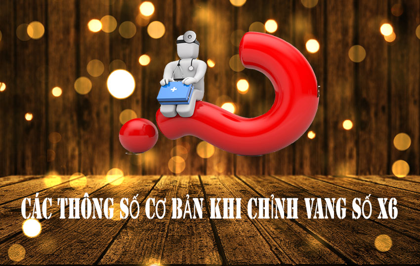 chinh-vang-so-x6-dd