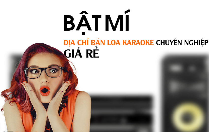 dia-chi-ban-loa-karaoke-chuyen-nghiep