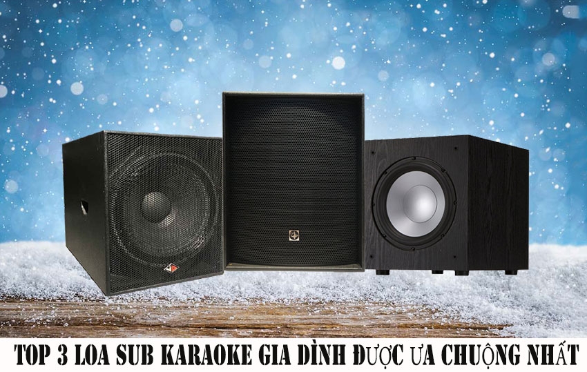loa-sub-karaoke-gia-dinh-dd