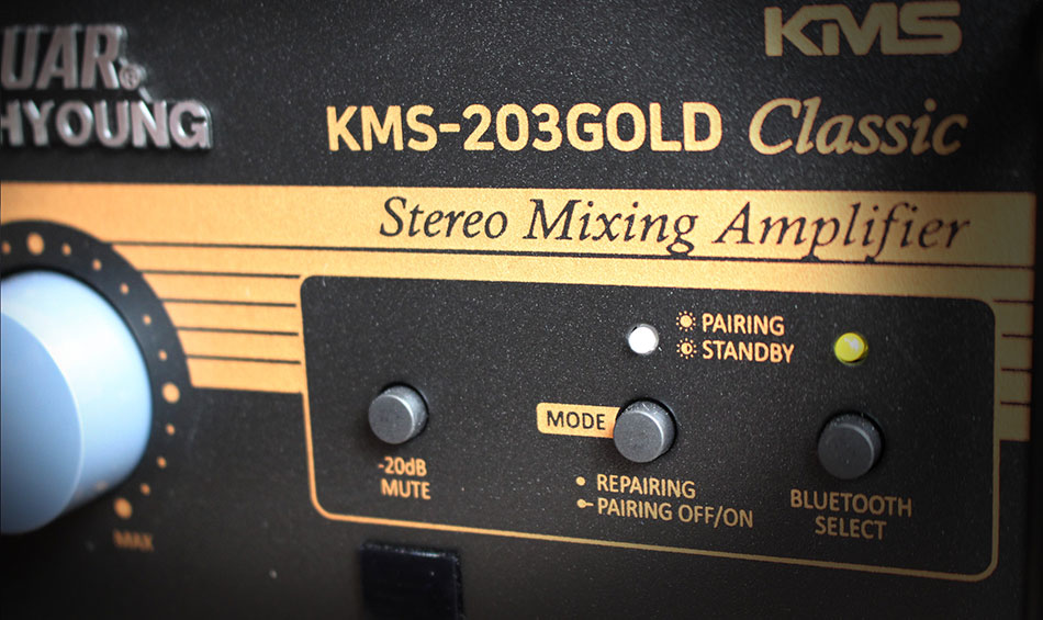 Amply-Jarguar-KMS-203-Gold-Classic-7