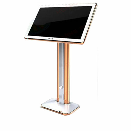man-hinh-cam-ung-bte-gold-22inch-dd2