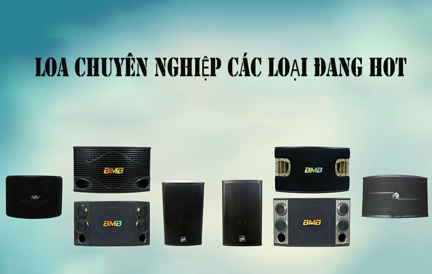 loa-karaoke-chuyen-nghiep-cac-loai-1