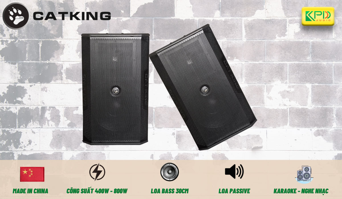 loa-karaoke-catkingx12-1200x700-1