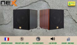 loa-sub-karaoke-nex-spt12-1200x700
