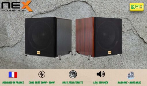 loa-sub-karaoke-nex-spt12-1200x700