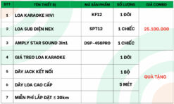 Chi tiết thiết bị dàn karaoke gia đình HV22