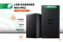 Loa karaoke gia đình HiVi PK2