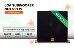 Loa Sub điện karaoke NEX SPT12