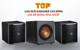 TOP 6+ Loa Sub Karaoke Gia Đình Đánh Nhạc SIÊU KHỎE bán chạy nhất 2022