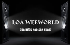 Loa Weeworld Của Nước Nào? Loa Weeworld Có Tốt Không?