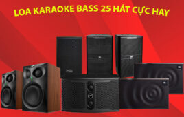 {5+} Loa karaoke bass 25 Hay Nhất – Bán Chạy Số １ Năm 2022