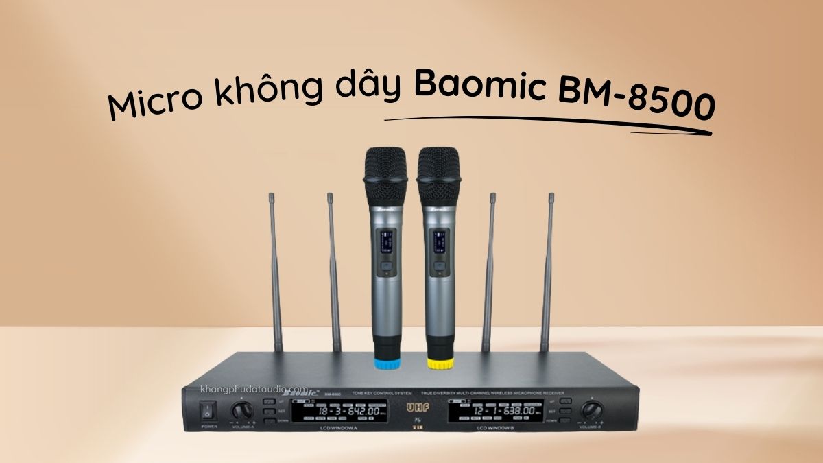 Micro không dây Baomic BM-8500