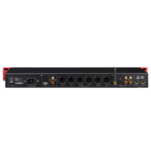 Mặt sau Vang số Swan DSP-10