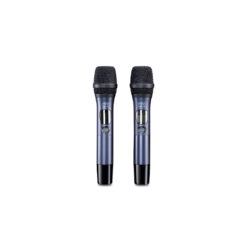 Vang số HiVi DSP-10 02