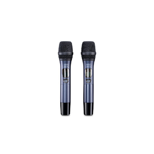 Vang số HiVi DSP-10 02