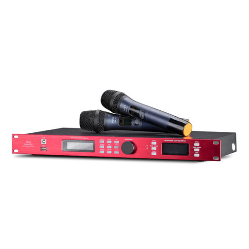Vang số HiVi DSP-10 03
