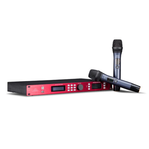 Vang số HiVi DSP-10 04