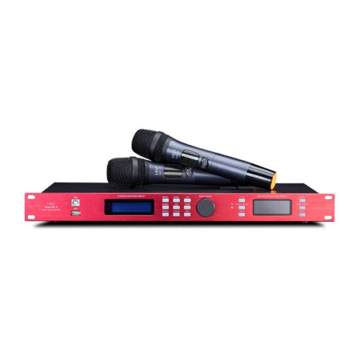 Vang số HiVi DSP-10