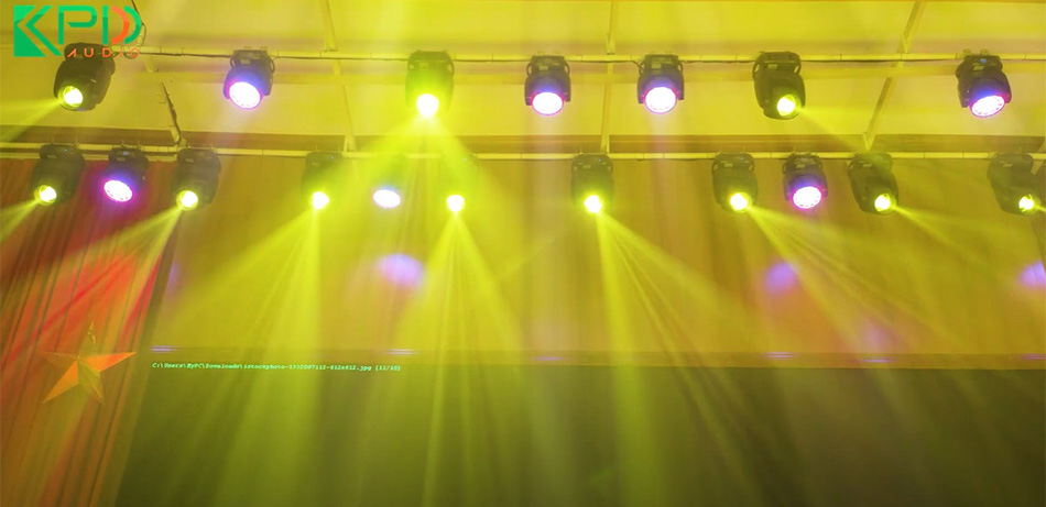 Đa dạng hiệu ứng