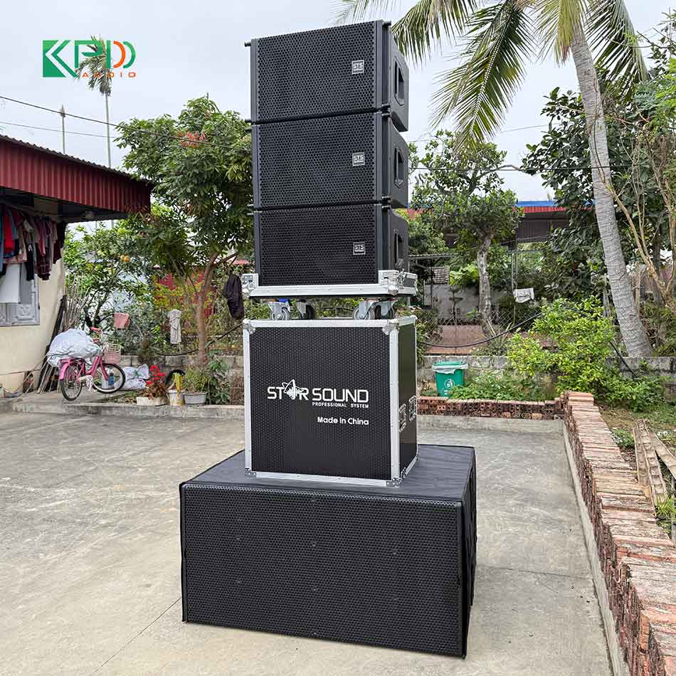 Hệ thống loa array + loa sub