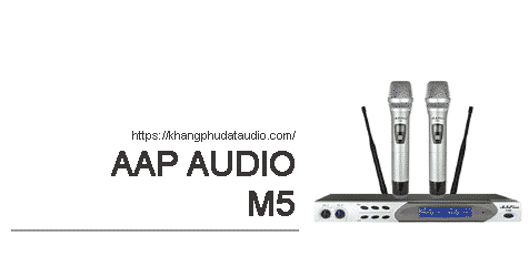 Micro không dây AAP M5